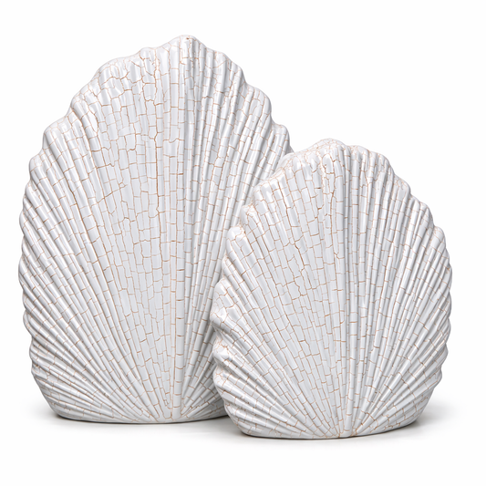 Seashell Vase