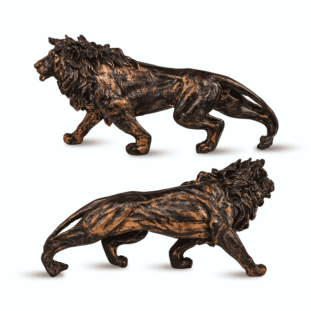 Lion view 2
