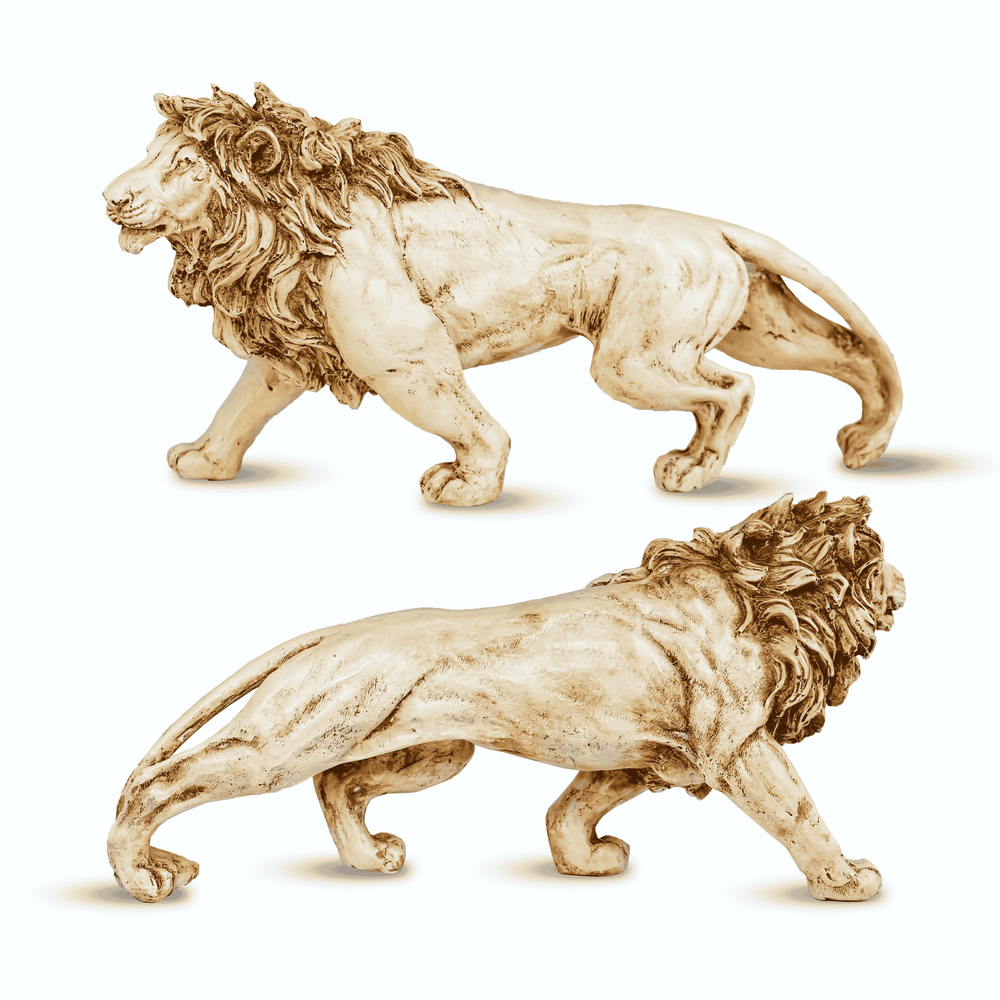 Lion view 3