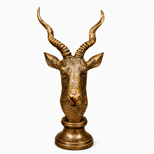 Markhor Head B